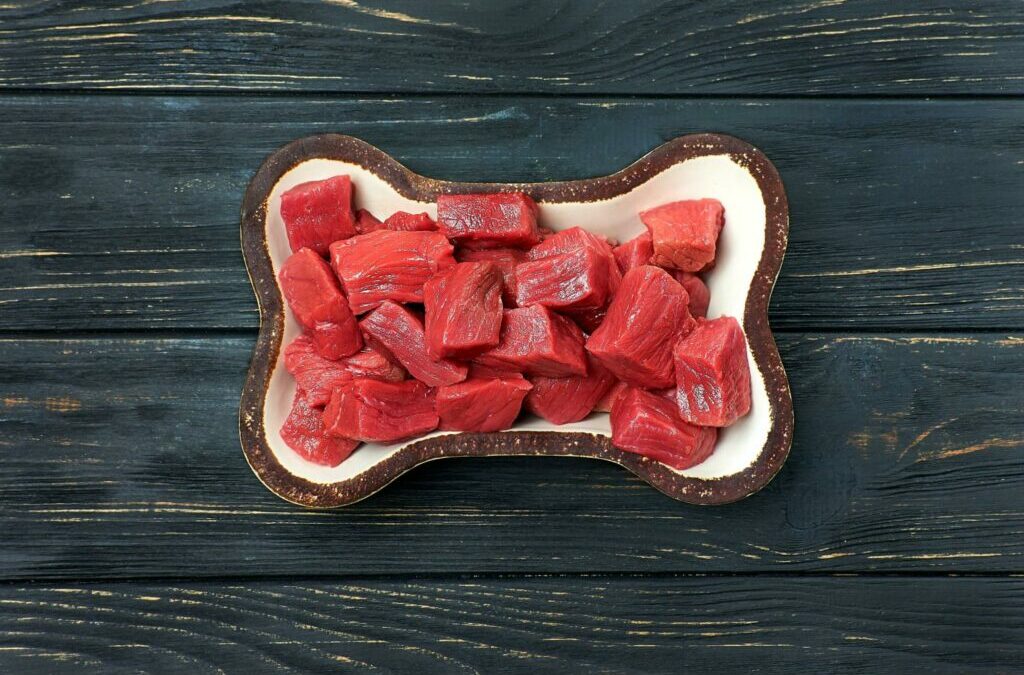 Why raw dog food is the best kind of wet food | Pawfectly Raw 