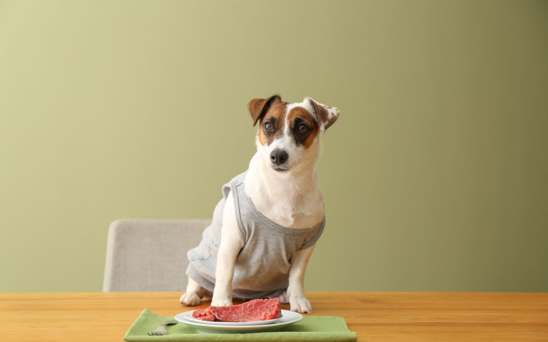 The basics of raw feeding dogs: a step-by-step guide for pet owners