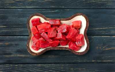 Why raw food is the best type of wet food for your dog