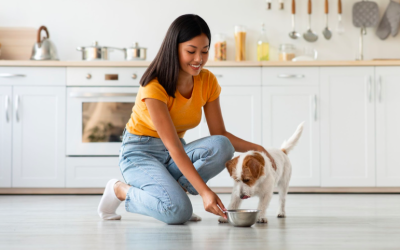 5 Benefits of raw food for your small-breed puppy